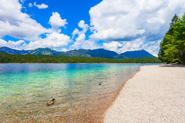istock Eibsee lake in Bavaria, Germany 1441224841