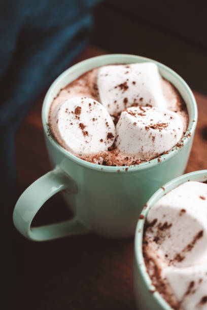 istock Hot chocolate drink with marshmallow in a cup on wooden board, dark background 1441231214