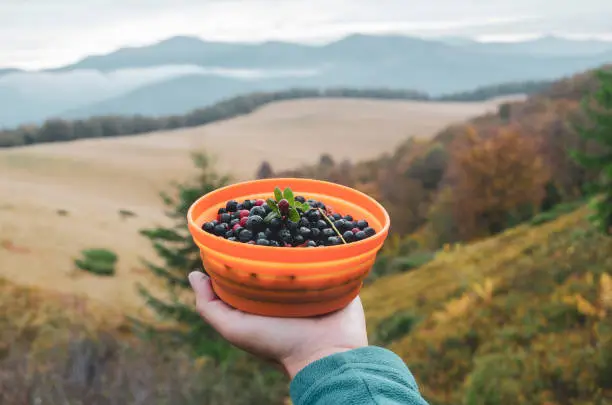 Hand holding the bowl with wildberries high in the mountains.