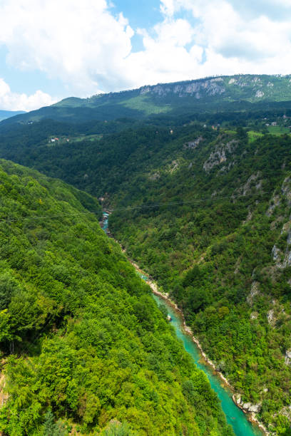 istock Mountain river Tara and canyon, Montenegro, natural landscape. Vertical image 1441240147
