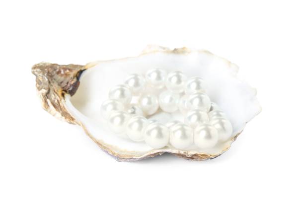 istock Oyster shell with pearls on white background 1441240527