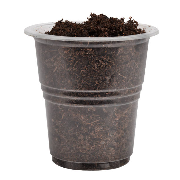 istock pot with soil, isolated on white background, clipping path, full depth of field 1441242016