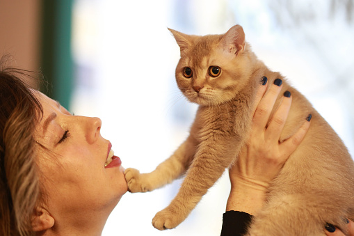 young woman kissing the cat she held up with her hands