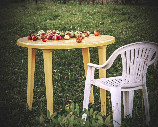 istock garden plastic furniture and apples 1441243986