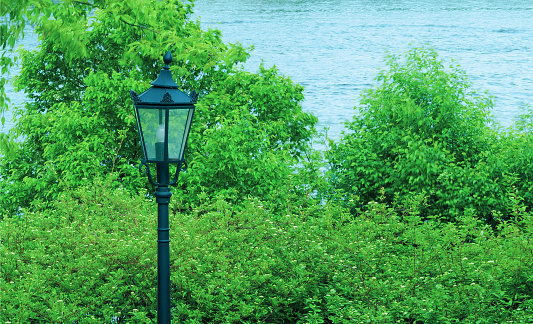 vintage style lamppost among overgrown lake shore