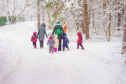 Children walk of children with teachers in nature on winter day, active lifestyles