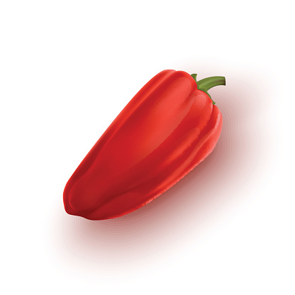 Sweet pepper of red color. Iillustration isolated on white background. Vector format