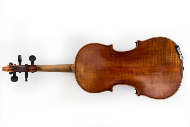 istock violin isolated on white background, musical instrument 1441246186