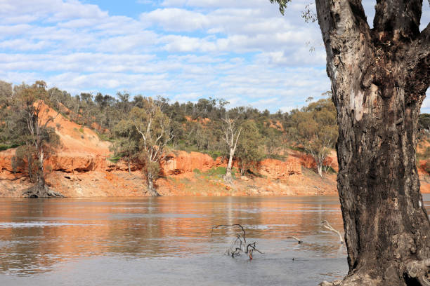 istock Australian Rivers and Gum Trees 1441247143