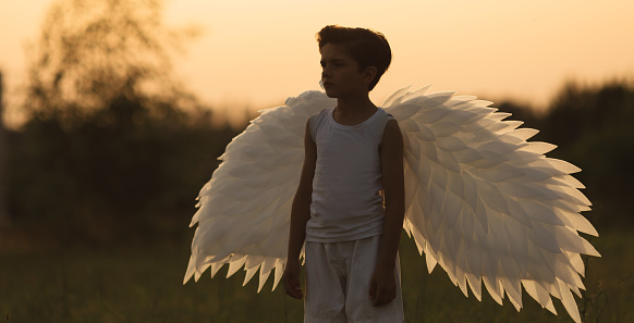 Angel with white wings on green grass. Brunette boy in a white shirt on summer sunset background