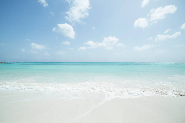 istock Caribean sea Aruba island 1441250117