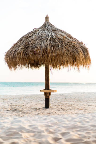 istock Caribean sea Aruba island 1441250244