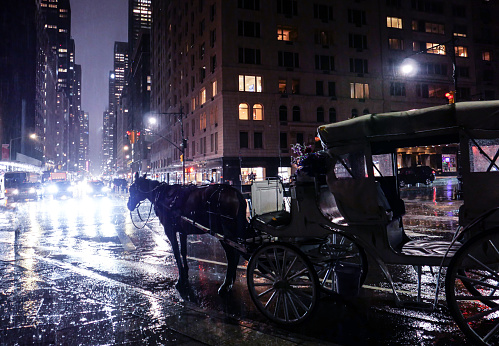 Manhattan tourist horse standing in the rain at night overlooking 6th avenue by Central Park, New York City