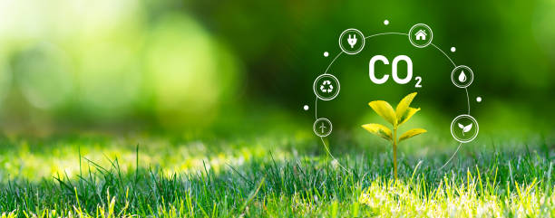 istock Carbon dioxide emissions, carbon footprint concept 1441253037