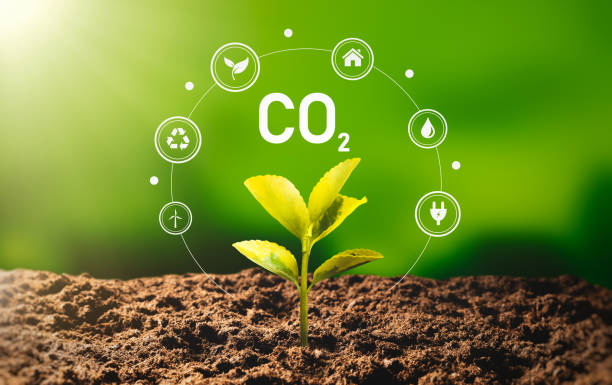 istock Carbon dioxide emissions, carbon footprint concept 1441253053