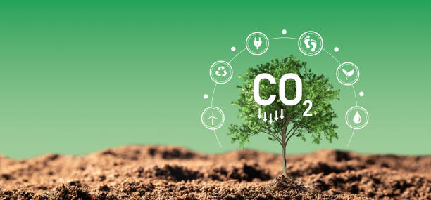 istock Carbon dioxide emissions, carbon footprint concept 1441253076