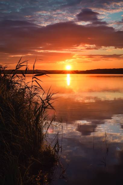 istock Sunrise on the lake. 1441258706