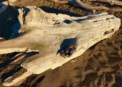 A beach view at Hammonasset State Park, Connecticut. A piece of driftwood shown in the left hand side of the image. Sand and beach grass appear in the background.