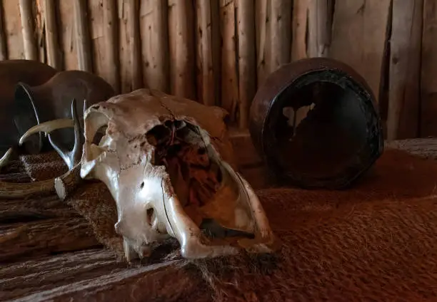 An animal skull is on display inside a replica Iroquois longhouse at Crawford Lake near Milton, Ontario.