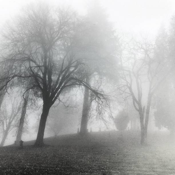 istock Cemetery In Fog 1441260819