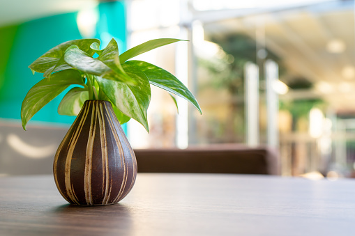 Spotted betel vase on wooden table