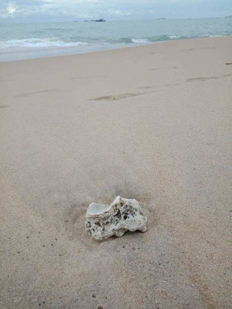 istock rocks by the beach with a sand background 1441267528