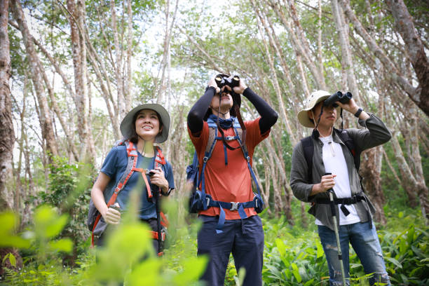 istock Young Asia traveler backpack hiking in forest, forest exploration travel, Traveller using Telescopic endoscope for exploration travel 1441271386
