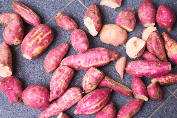istock Sweet potato on dark background. Top view 1441284536