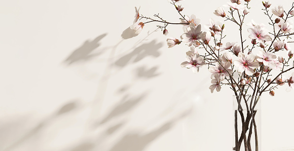 Más de 30 000 imágenes de flores minimalistas | Descargar imágenes gratis en Unsplash Más de 30 000 imágenes de flores minimalistas | Descargar imágenes gratis en Unsplash