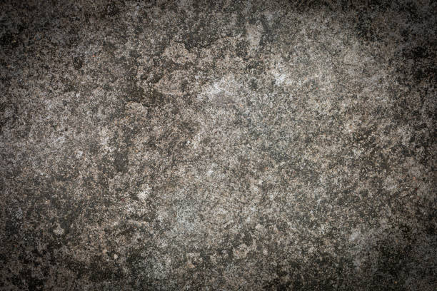 istock Gray textured cement wall background with fine concrete chips. Construction backgrounds 1441299275