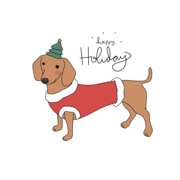 illustrations, cliparts, dessins animés et icônes de teckel chien joyeuses fêtes illustration vectorielle de bande dessinée - christmas dachshund dog pets