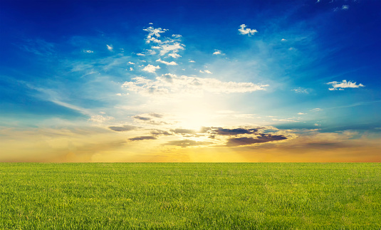 Green field with blue sky for background