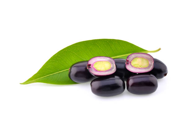 istock Jambolan plum (Java plum) isolated on white background 1441303335