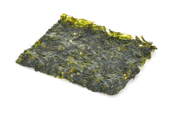 istock Dried seaweed isolated on the white background. 1441305797