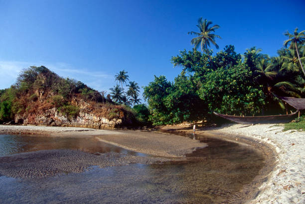 istock Beach and a Fort on Arabian Sea shore 1441306258