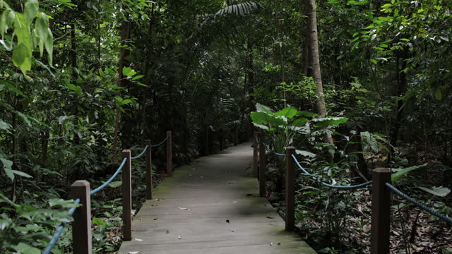 Singapore Botanic Garden, Singapore