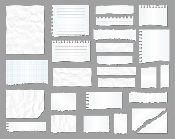 White torn paper, rip paper pieces, crumpled sheet White torn paper, rip paper pieces. To do list notebook crumpled realistic vector sheet, message banner on office paper stripe with wrinkles, business schedule or notepad reminder, scrapbook sticker information sign stock illustrations