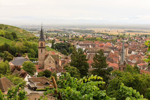 panorama of Bad Nauheim from the hills with vineyard