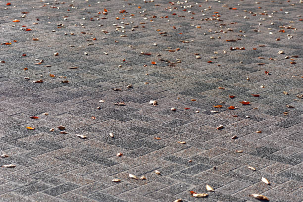 View on the paving stone covered with fallen dry leaves in Autumn.