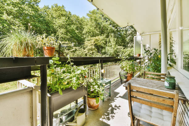 istock Modern spacious balcony furnished with indoor plants 1441319028
