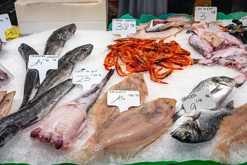 A variety of fish and shellfish on a fishmonger's stall.