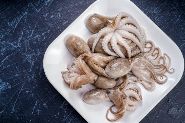 Fresh Octopus Squid on wooden plate, Fresh Octopus in wooden plate on wooden background