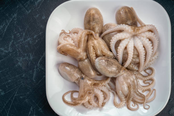 Fresh Octopus Squid on wooden plate, Fresh Octopus in wooden plate on wooden background