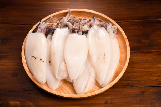 Fresh Splendid Squid on wooden plate, Fresh Squid in wooden plate on wooden background,