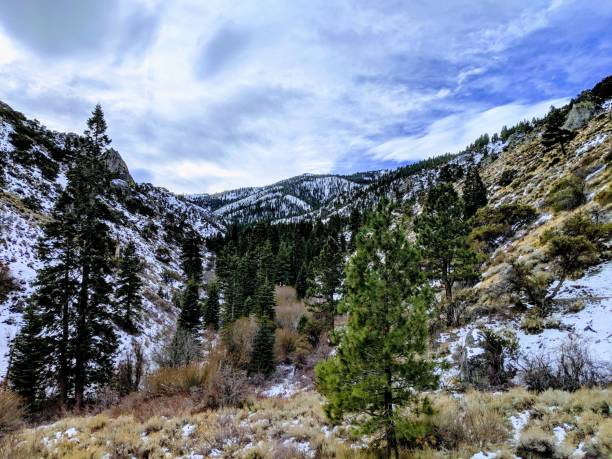istock December in Northern Nevada 1441321911