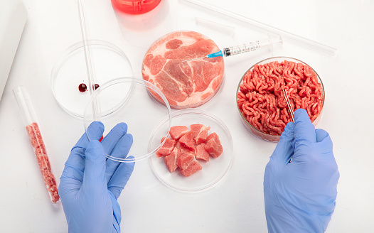 Petri dish with cultured meat in laboratory. Concept of clean meat cultured