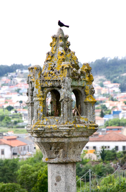Pelourinho, townscape in the background. Barcelos, Portugal. Pelourinho, pillory ,stone column with gothic top, 14th century, bird perching. Barcelos townscape in the background. Portugal. medieval restraints stock pictures, royalty-free photos & images