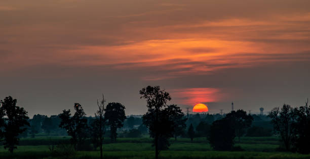 istock Forest Silhouette Sunset Orange Dusk Design Template Wallpaper Background 1441328151