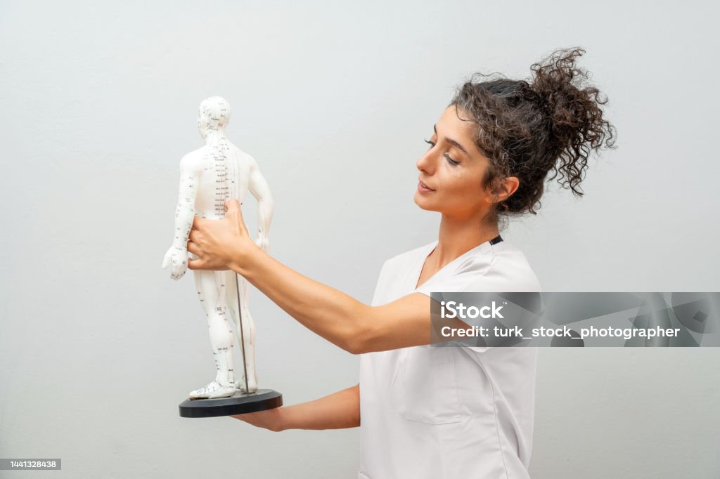 Physiotherapist giving information on Acupuncture model Acupuncture Stock Photo