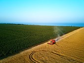 Aerial of red combine harvester working in wheat field near cliff with sea view on sunset. Harvesting machine cutting crop in farmland near ocean. Agriculture, harvesting season. Landscape scenic.